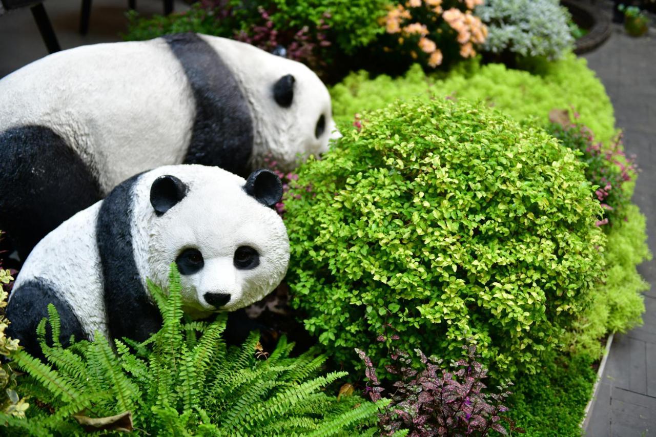 Xishu Garden Inn - Travel Agency Service - Car Rent Service - English Speaking Chengdu Eksteriør billede